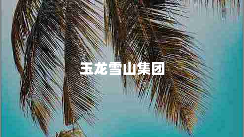 玉龍雪山集團(tuán)