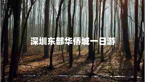 深圳東部華僑城一日游