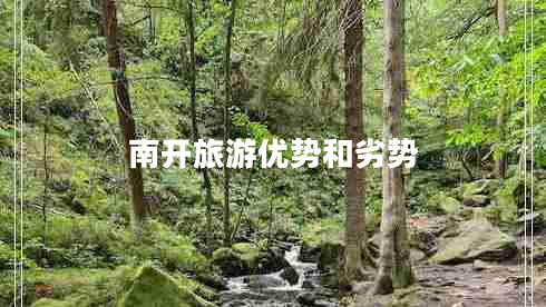南開(kāi)旅游優(yōu)勢(shì)和劣勢(shì)