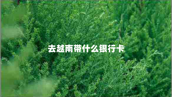 去越南帶什么銀行卡