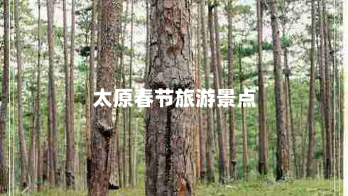 太原春節(jié)旅游景點(diǎn)