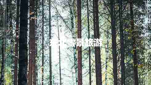 東北雪景旅游