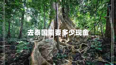 去泰國(guó)需要多少現(xiàn)金 去泰國(guó)需要多少現(xiàn)金