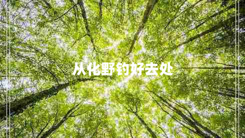 從化野釣好去處