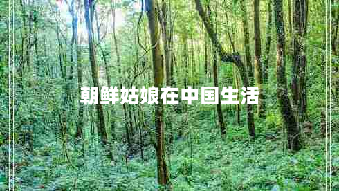 朝鮮姑娘在中國生活 朝鮮姑娘在中國生活