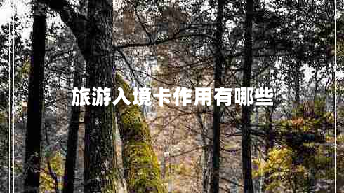 旅游入境卡作用有哪些