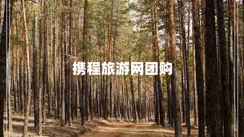 攜程旅游網(wǎng)團購