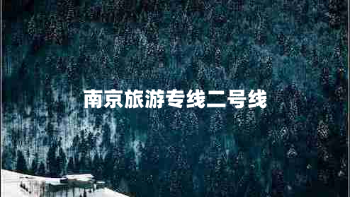 南京旅游專線二號線