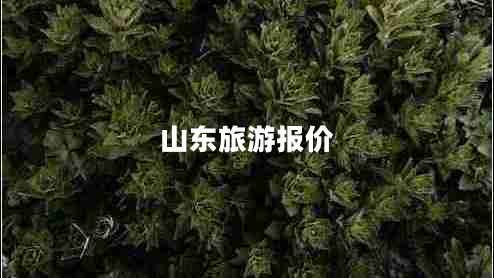 山東旅游報價