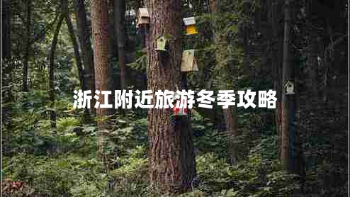 浙江附近旅游冬季攻略