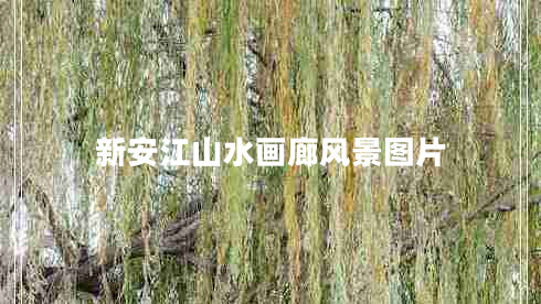 新安江山水畫廊風(fēng)景圖片 新安江山水畫廊風(fēng)景圖片