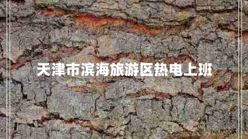 天津市濱海旅游區(qū)熱電上班