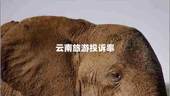 云南旅游投訴率