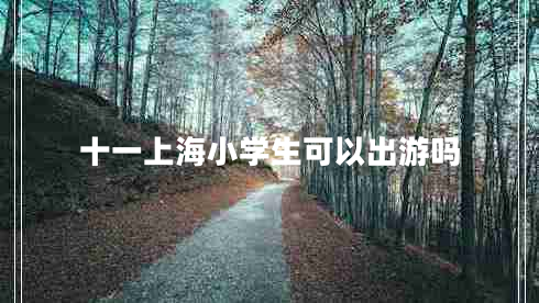 十一上海小學(xué)生可以出游嗎