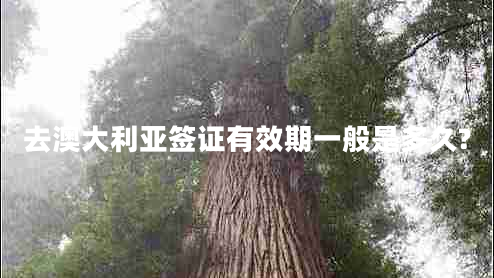 去澳大利亞簽證有效期一般是多久?