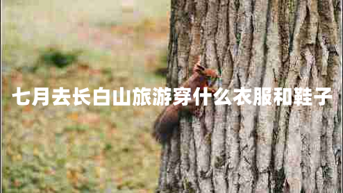 七月去長白山旅游穿什么衣服和鞋子