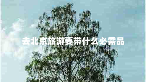 去北京旅游要帶什么必需品 去北京旅游要帶什么必需品