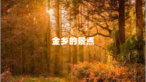 金鄉(xiāng)的景點(diǎn) 金鄉(xiāng)的景點(diǎn)