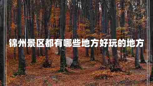 錦州景區(qū)都有哪些地方好玩的地方