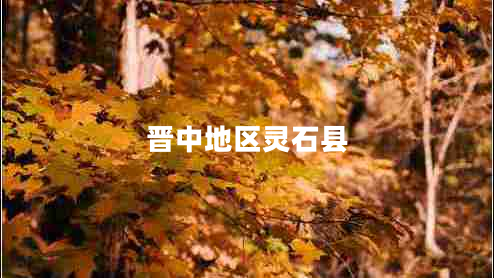 晉中地區(qū)靈石縣 晉中地區(qū)靈石縣