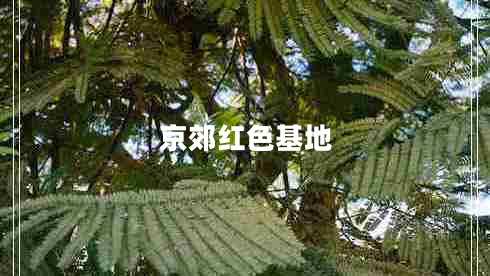 京郊紅色基地