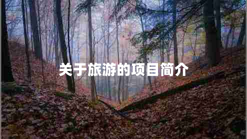 關(guān)于旅游的項(xiàng)目簡(jiǎn)介