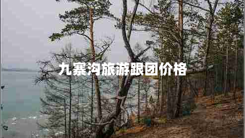 九寨溝旅游跟團價格