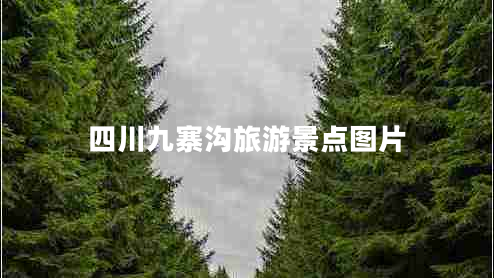 四川九寨溝旅游景點(diǎn)圖片