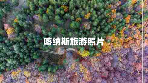 喀納斯旅游照片