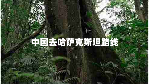 中國去哈薩克斯坦路線