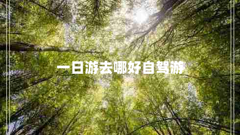 一日游去哪好自駕游 一日游去哪好自駕游
