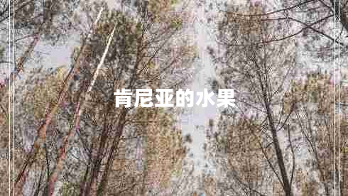 肯尼亞的水果 肯尼亞的水果