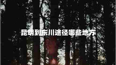 昆明到東川途徑哪些地方