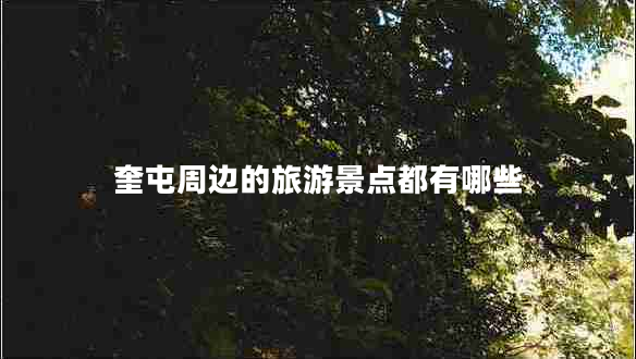 奎屯周邊的旅游景點(diǎn)都有哪些