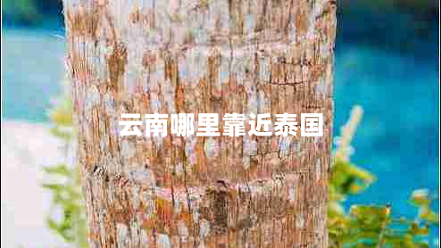 云南哪里靠近泰國