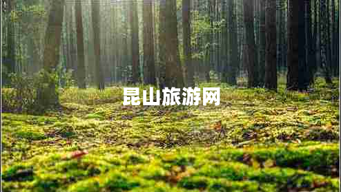 昆山旅游網(wǎng)