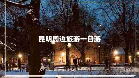 昆明周邊旅游一日游