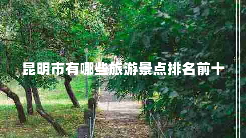 昆明市有哪些旅游景點(diǎn)排名前十 昆明市有哪些旅游景點(diǎn)排名前十