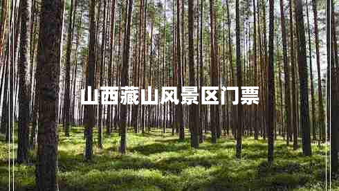 山西藏山風景區(qū)門票