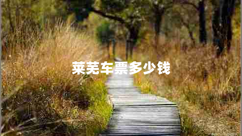 萊蕪車(chē)票多少錢(qián)