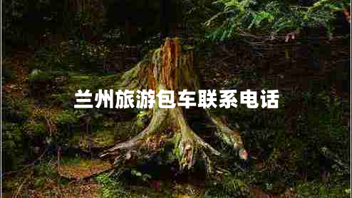 蘭州旅游包車聯(lián)系電話