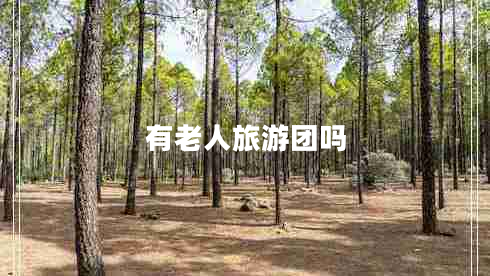有老人旅游團(tuán)嗎