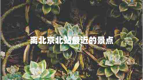 離北京北站最近的景點