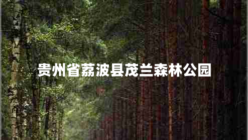 貴州省荔波縣茂蘭森林公園