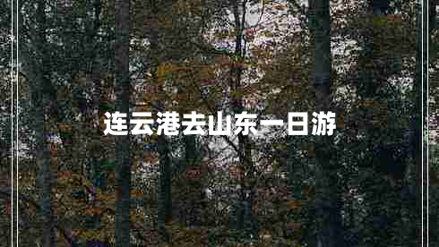 連云港去山東一日游
