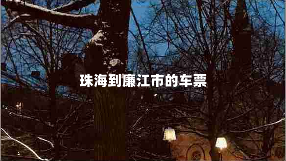 珠海到廉江市的車票