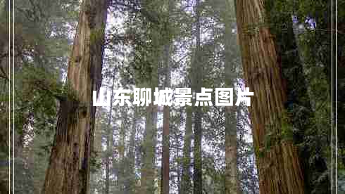 山東聊城景點(diǎn)圖片
