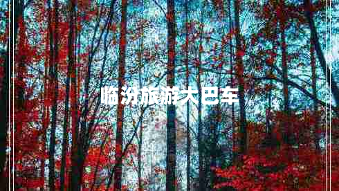 臨汾旅游大巴車