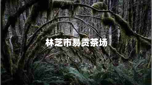 林芝市易貢茶場(chǎng) 林芝市易貢茶場(chǎng)