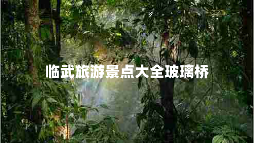 臨武旅游景點(diǎn)大全玻璃橋